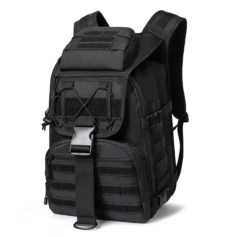 PE2B3151
